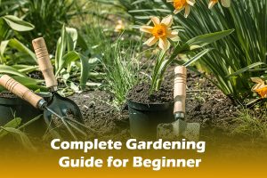 Gardening for The Beginner: Complete Guide